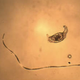 Illustration for article titled 22 Awesome Science Infrastructure Webcams From Around the World